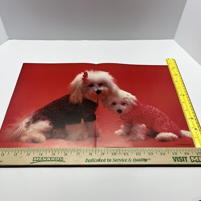''Party Pups #B702'' Poster White Puppies in Sweaters Red Troll 1982 Vintage NOS