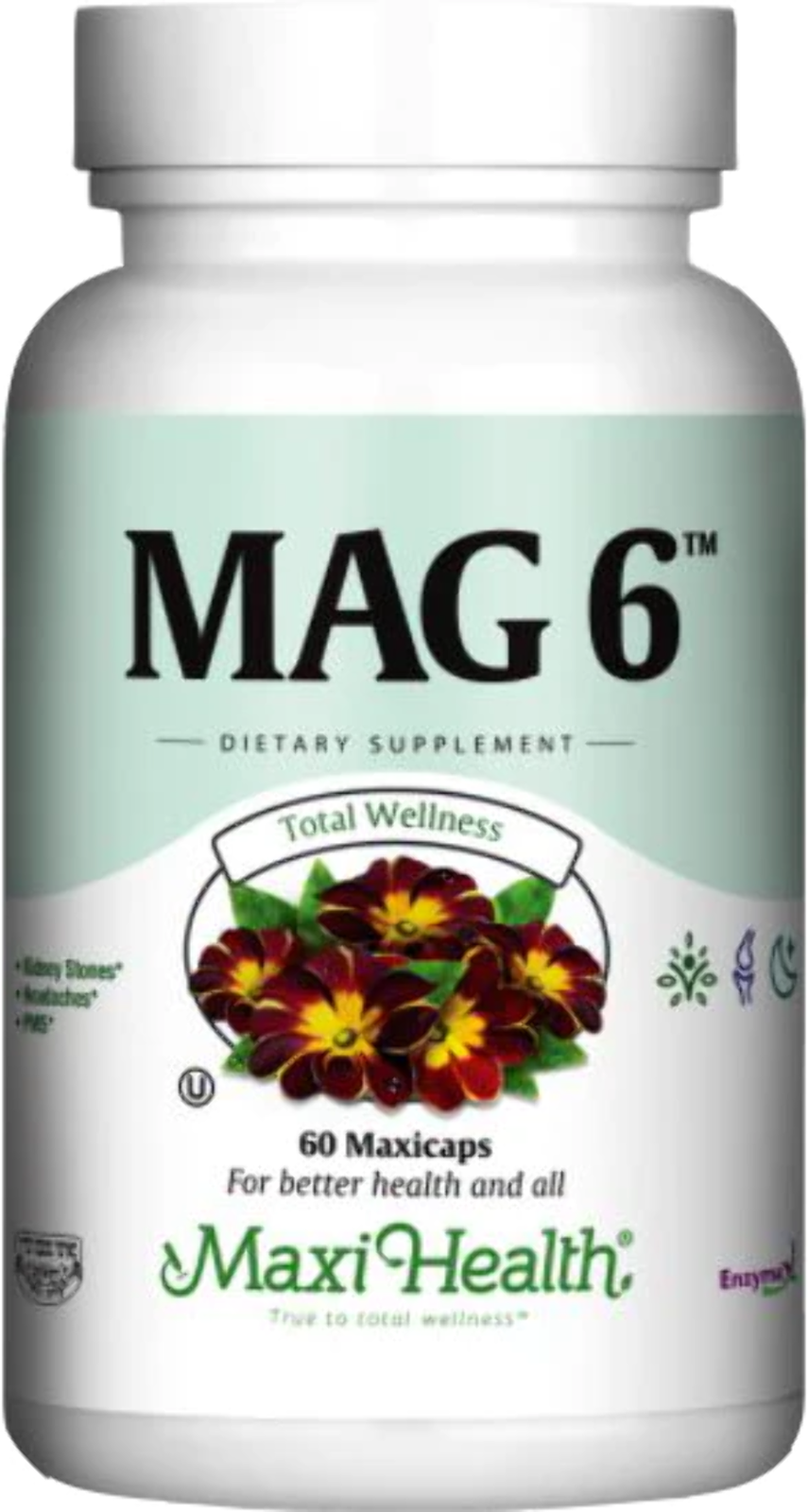 MaxiHealth Research Kosher Vitamins Mag 6 Magnesium With B6 60