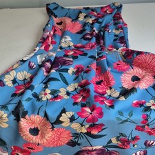 Vince Camuto Floral Fit & Flare Dress 8 Sleeveless Zip Back Pleated Lined