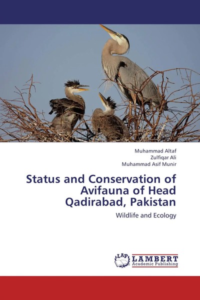Muhammad Altaf (U. A.) | Status And Conservation Of Avifauna Of Head...-image