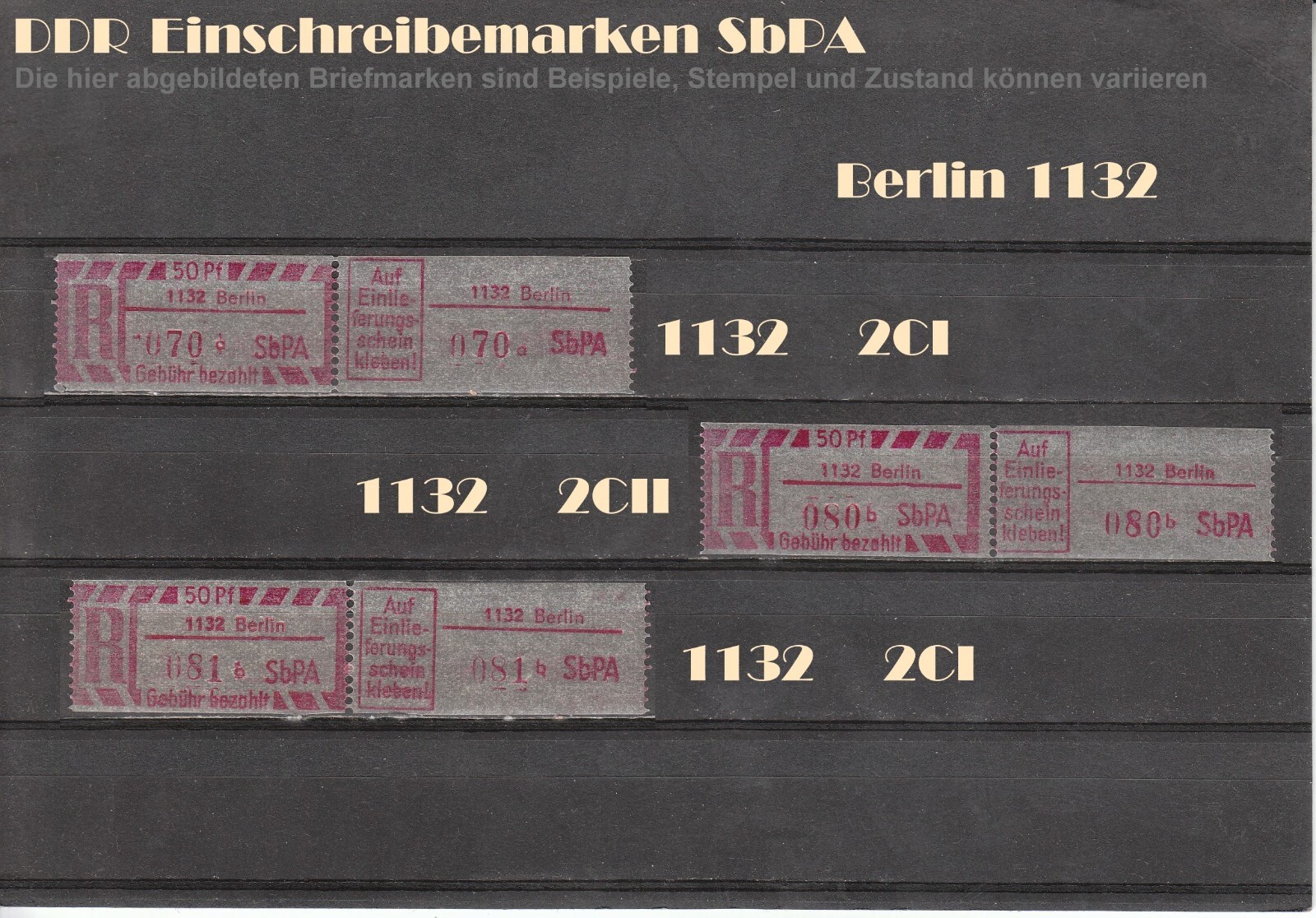 Bild 5 von 19
