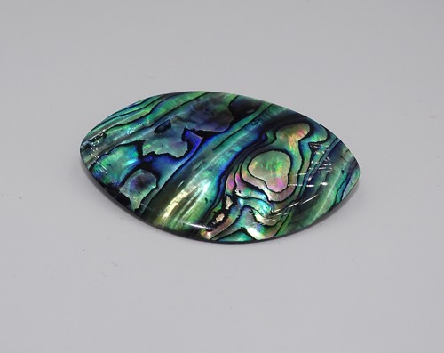 Natürliche Seashell Abalone Muschel Brosche - 第 1/4 張圖片