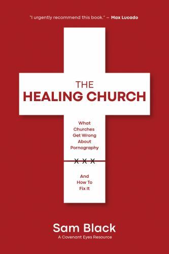 Healing Church : What Churches Get Wrong about Pornography and How to Fix It ...