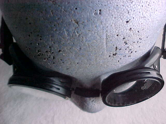 Picture 12 of 16