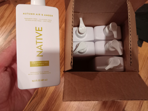 NATIVE AUTUMN AIR & AMBER Body LOTION (6-pack 16.5oz) | Restores Dry Skin