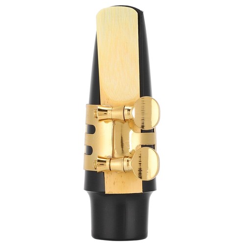 Alto Saxophone E Flat Brass Electrophoresis Gold Treated Bending Tube Saxophone - Picture 5 of 12