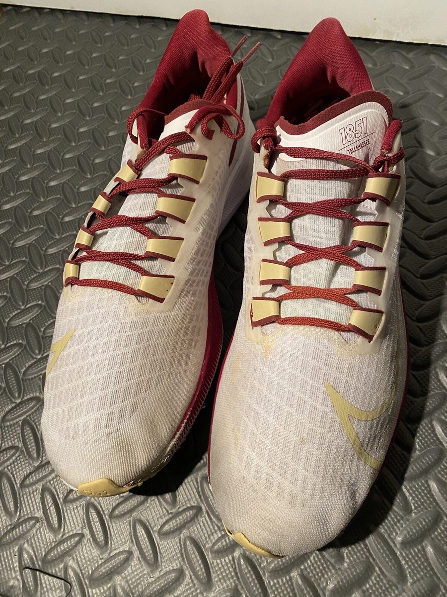 Nike Air Zoom Pegasus 37 Florida State