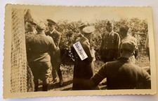 Photo Luftwaffe German Officers with Italian Colonel WW2 (6281n)