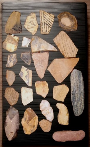 Native American Pottery Shards Navajo County AZ