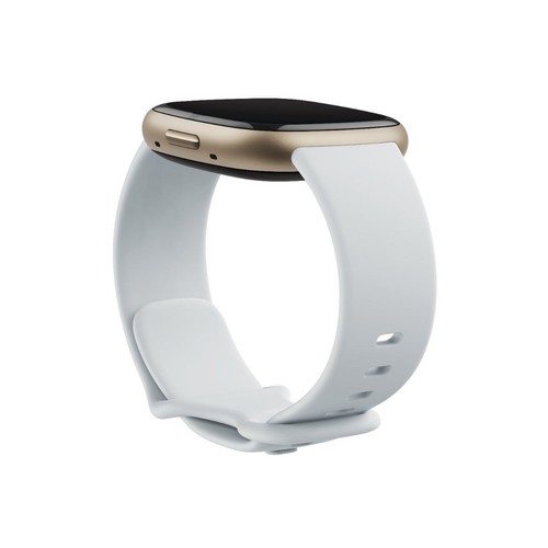 Fitbit Sense 2 Smart Watch - Blue Mist/Pale Gold - Picture 4 of 5