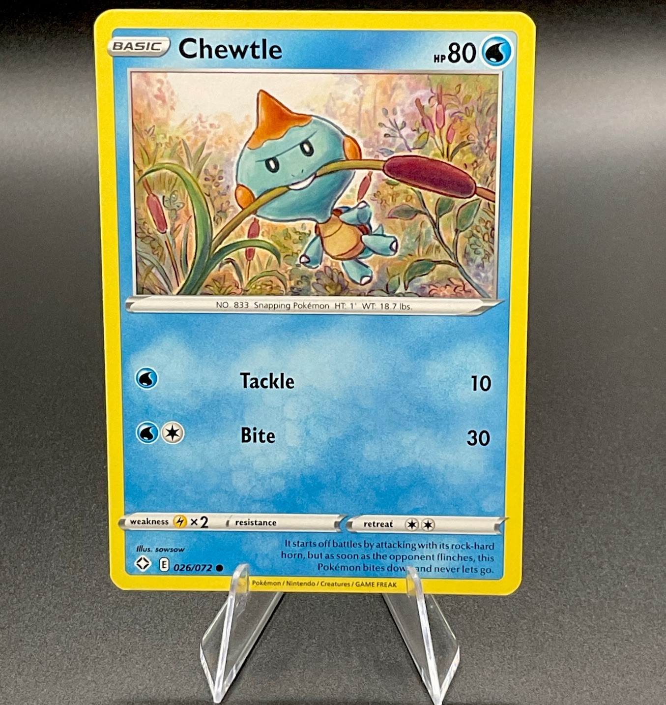 Chewtle 026/072 Shining Fates Sword Shield Pokemon Card NM