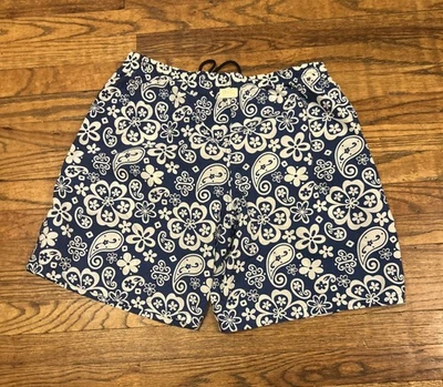 Dolce & Gabbana DG Azul Paisley Ropa de Playa Calzoncillos Elastizados RARO - Imagen 1 de 4
