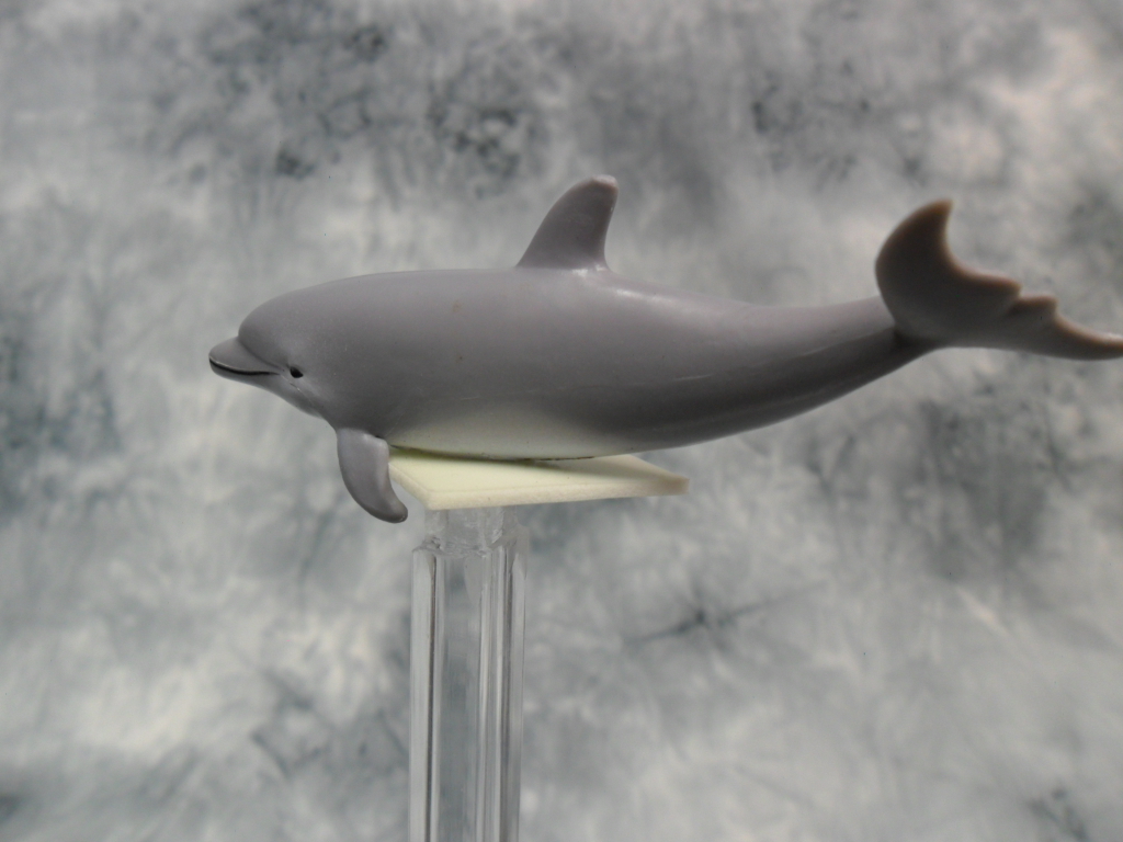 トップス dolphin s-l1200.jpg