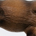 Bild 9 von 9
