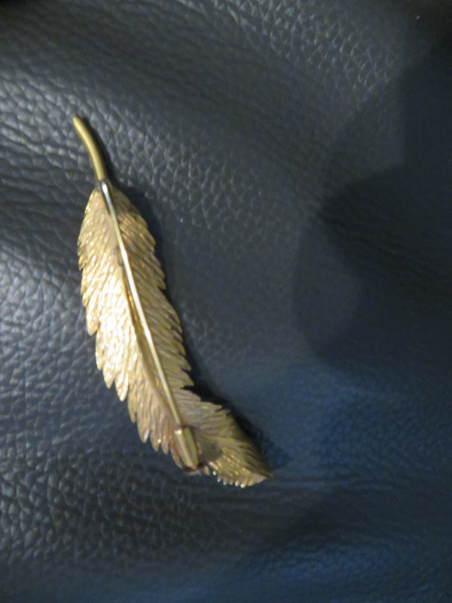 Broche Ancienne En Forme De Plume - Matière Murat (?) - Occasion Vintage