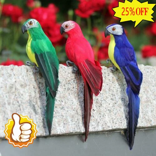 Pets at home hot sale parrots for sale