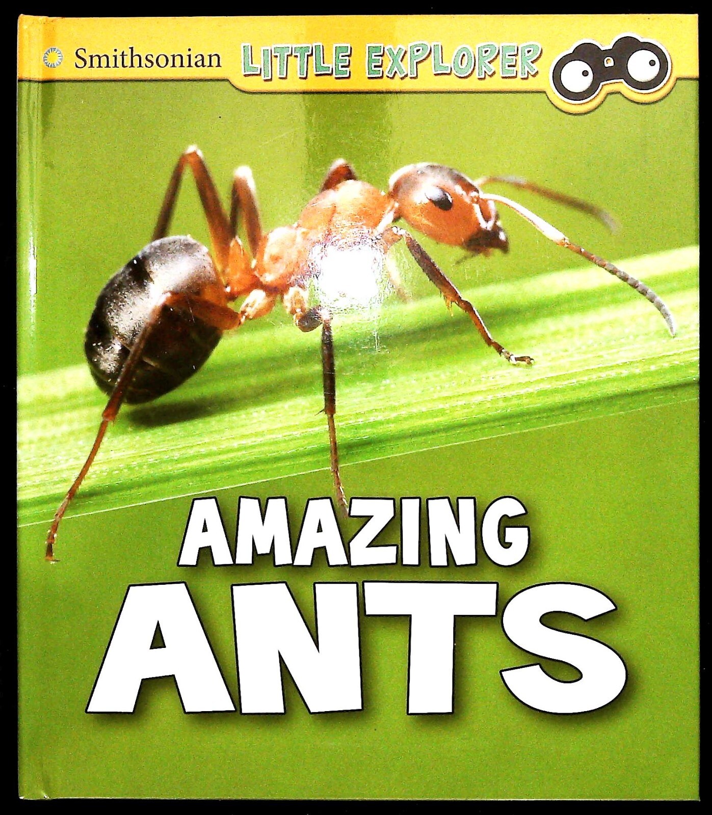 Ants Children's Book Learning Facts Education - New Little Explorers