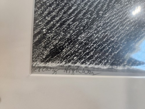 FOTOGRAFÍA FIRMADA TITULADA 16 X 20 ENE FAUL FOTOGRAFÍA EN BLANCO Y NEGRO CARRETERA 11/50 - Imagen 10 de 11