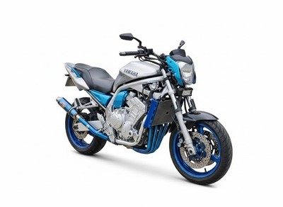 Exhaust System Yamaha FZ1 1000 FAZER BLUE 2000-2005 | eBay