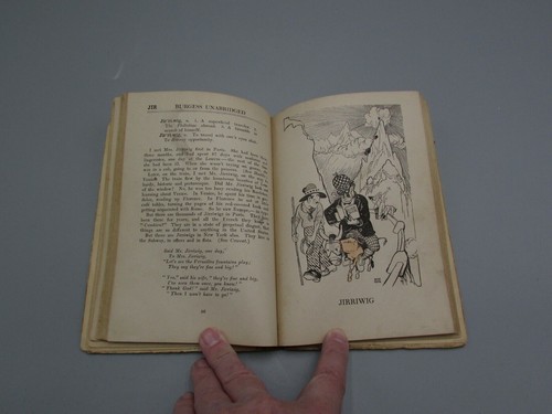 1914 BURGESS UNABRIDGED NEW DICTIONARY GELETT BURGESS ILLU HERB ROTH 1ST ED B131 - Picture 10 of 11