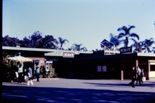 1965 San Diego Zoo Exit Blur Kodachrome 35mm Slide
