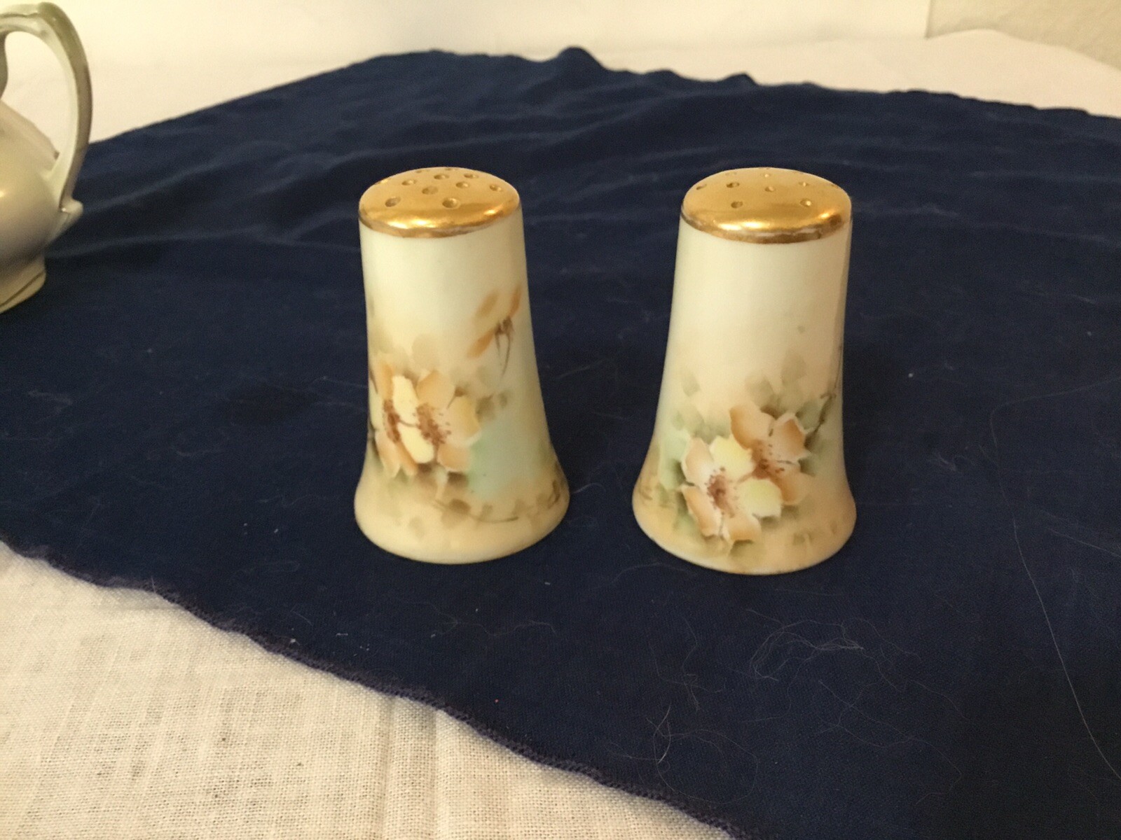 Vintage R.S. Prussia Porcelain Magnolia Lidded Sugar Bowl & Salt