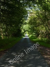 Photo 6x4 Woods at Kildalton, Isle of Islay Ardbeg/NR4146 2 c2011