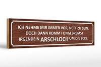 Holzschild Spruch 46X10 Cm Ich Immer Nett Doch Arschloch Deko Schild