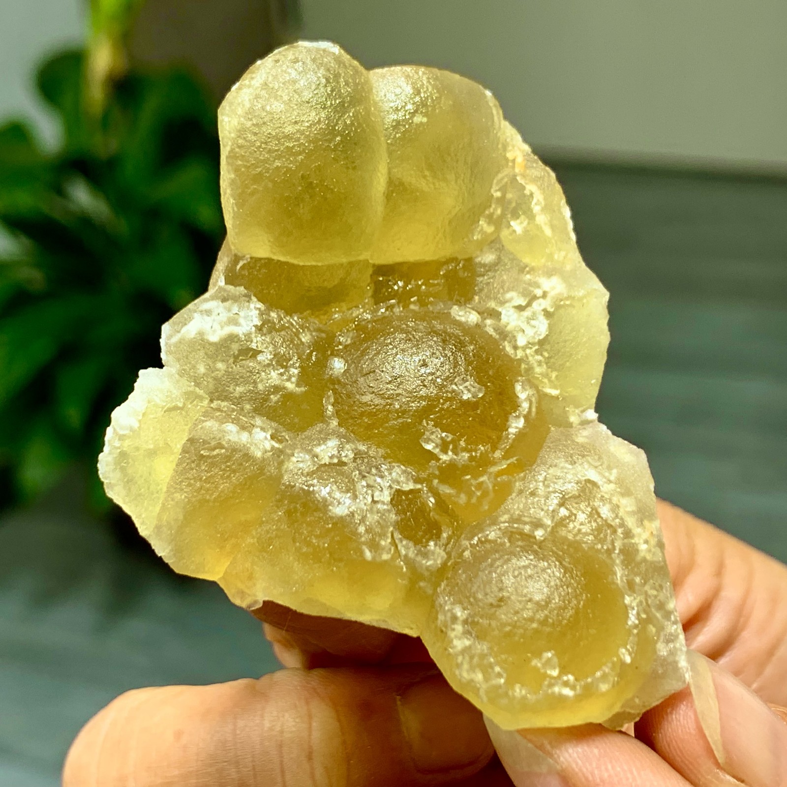 56G Natural Yellow Transparent Fluorite Crystal Sphere Mineral Specimen