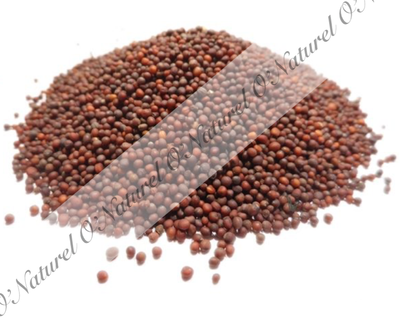 Graines De Nigelle D'Arabie Saoudite BIO - 80g - Black Seed (Cumin Noir) - Neuf Sous Sachet