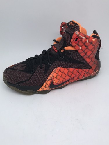 lebron james elite 12