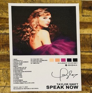 テイラー・スウィフトポスター8点+キャンバスバナー計9点+おまけ付き Taylor Swift Poster | eBay