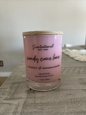 Candy Cane Lane Coconut and Beeswax Blend Scented Candle 11 oz Pink Jar NEW