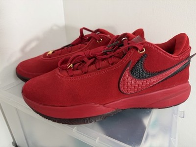 Nike LeBron XX 20 FC Liverpool Basketball Shoes Men Size 12 DV1193-600