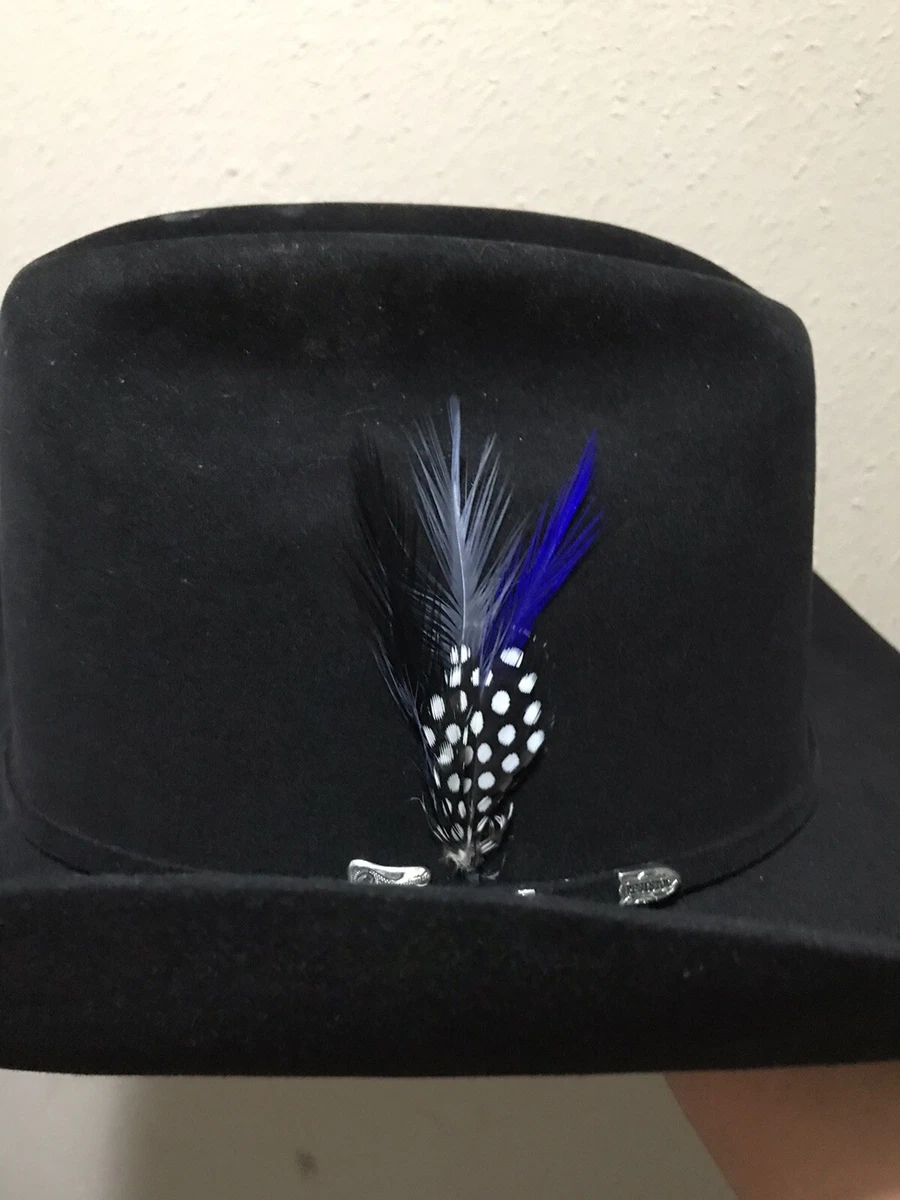 Stetson cheap hat feather