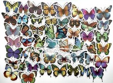 50pcs Butterfly Stickers - Die Cut Glossy Paper Stickers - Scrapbook Stationery