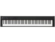 KORG D-1 DIGITAL PIANO 88 Weighted Keys PROFESSIONAL, NEW BOXED.