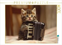 Calvendo Puzzle Harmonika-KäTzchen | 1000 Teile Lege-GrößE 64X48Cm Foto-Puzzle F