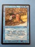 MTG Arabian Nights edition, Sindbad! 1993 Vintage Magic!