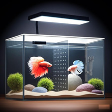 3 Gallon Nano Glass Aquarium with Filter LED Light for Betta Fish
