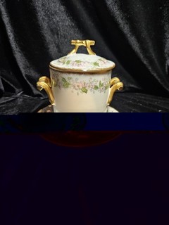 French GDA Limoges Condensed Milk Jar w Lid plate Pink Roses w vines gold gilt
