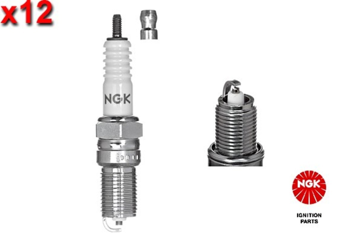 NGK 12x Spark Plug For BMW DAIMLER HYUNDAI ISUZU JAGUAR MG VW 61-04 066018110
