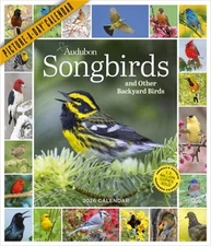 Audubon Songbirds and Other Backyard Birds Picture-A-Day(r) Wall Calendar 2026 (