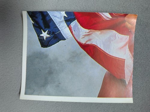 WWF Merlin stickers 1991 (WWE) MULTI-BUY! - Picture 3 of 76