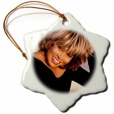 3dRose Tina Turner 3 inch Snowflake Porcelain Ornament