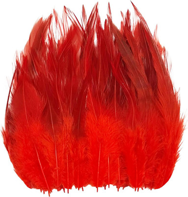 200Pcs Red Rooster Feathers Saddle Hackle Feathers for Crafts 5-7 Inch Christmas