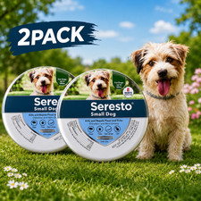 2X Adjustable Dogs Collar for Small Dogs Soft Durable Comfortable Pet Collar US