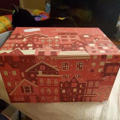 THE BODY SHOP Share The Love Big Advent Calendar No Products. EMPTY Boxes inside