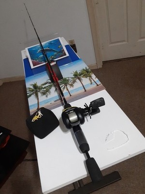 Baitcasting Fishing Rods Zebco Micro 5' Light 2-6lb And Reel Skut Ruse