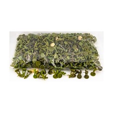 HBG Historical Minis Axis Allies U.S. Chinese Infantry Collection 32 NM